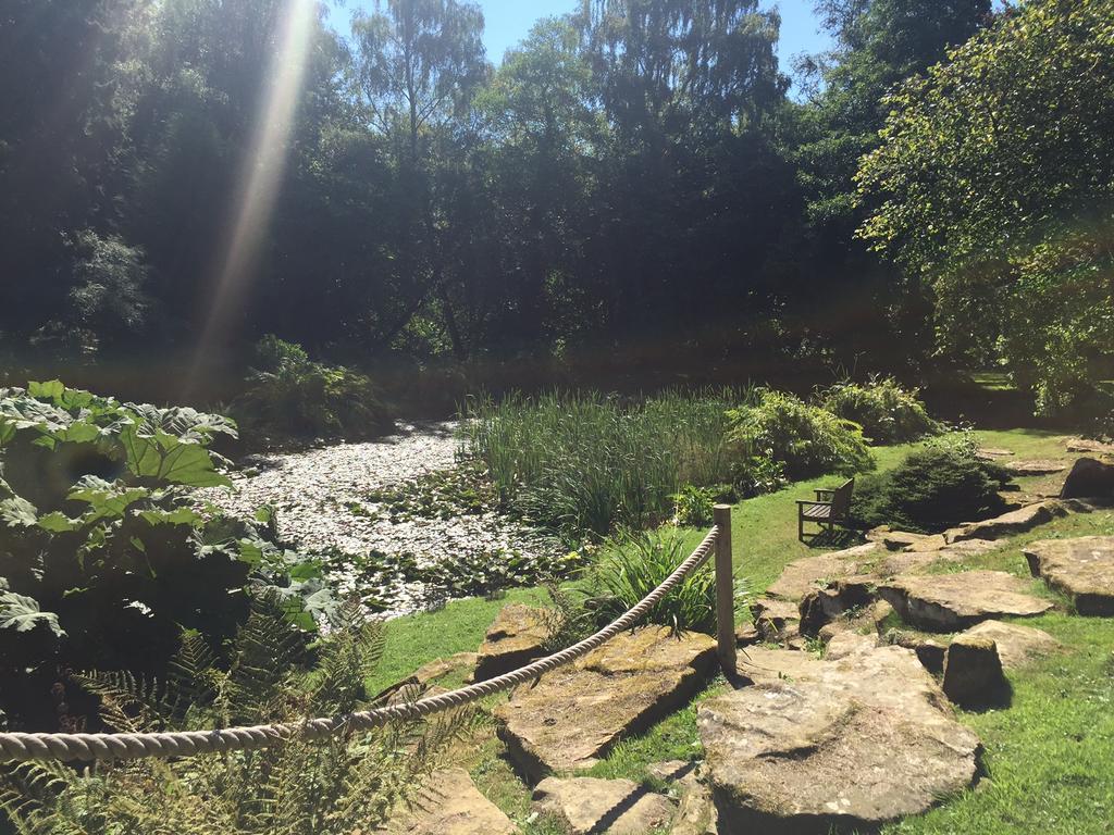 Burrswood Health And Wellbeing Hotel Royal Tunbridge Wells Kültér fotó